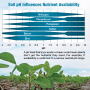A pH level that’s too acidic or basic could mean plants don’t get the nutrients they need. For example, P availability is restricted to a narrow neutral pH range.