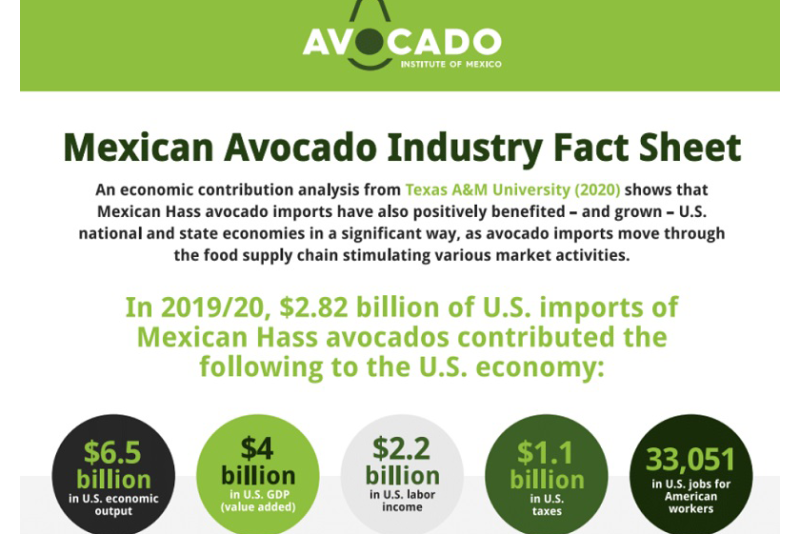 avo fact sheet