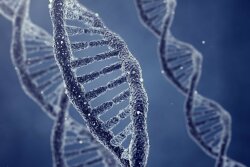 Scientists have long struggled to understand what regulates sperm “capacitation,” the vital physiological process sperm must undergo to become capable of fertilizing an egg cell. 