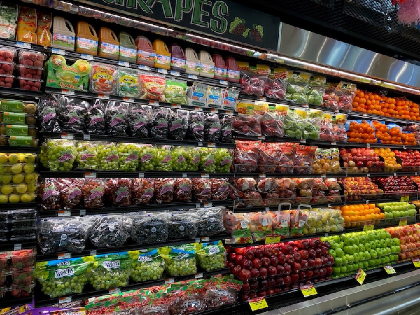 grape%20display%20winner%20copy.jpg