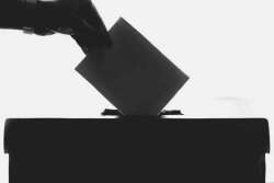 Vote