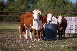 Inspect water systems before winter