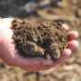 Roundup of Biostimulants Options