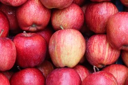 Apples