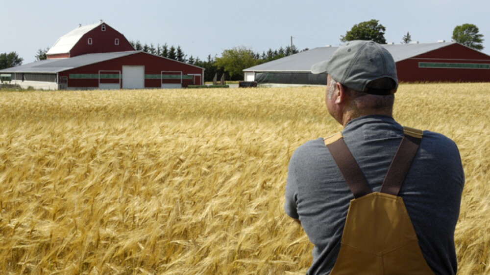 farmer