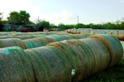 hay_bales