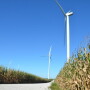 Wind_Turbine_Farm_Corn