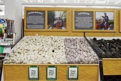 ACF686CB-0FAF-4531-8DEF452A297E9AA4.jpg
