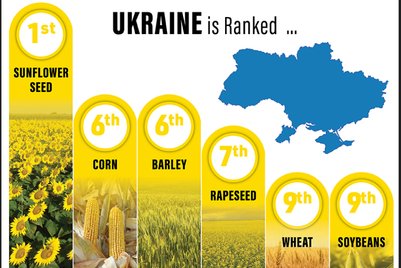 Ukraine helps feed the world.