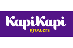 Kapi Kapi