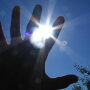 hand-in-the-sun-1553711.jpg