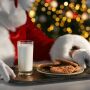 Christmas Milk and Cookies
