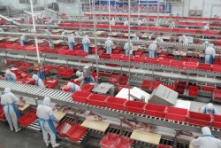 Workers sort cuts of fresh pork in a processing plant of pork producer WH Group in Zhengzhou, Henan province China, November 24, 2017. Picture taken through glass. REUTERS/Dominique Patton/File Photo 