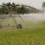 Irrigation photo 2 copy
