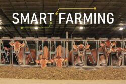 Dairy Smart Farming