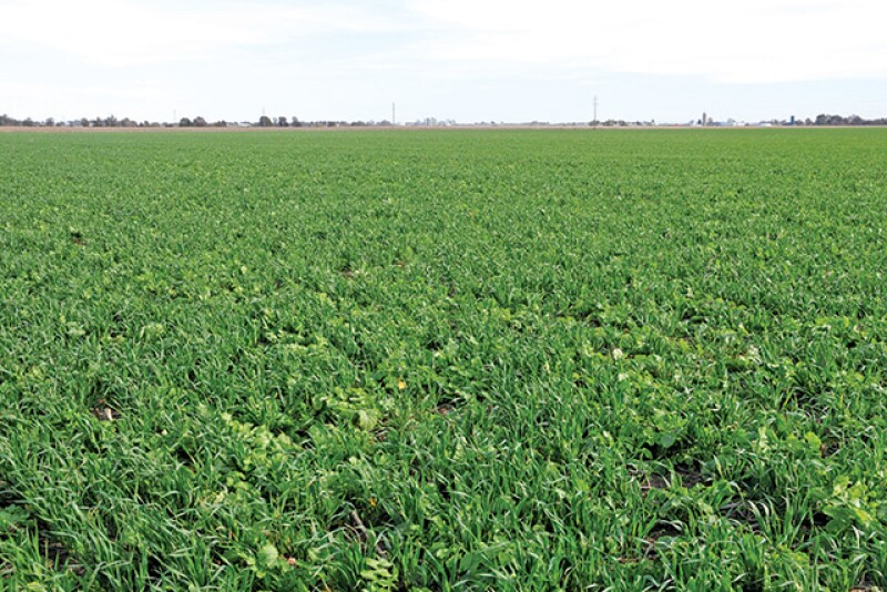 Study finds a single horizontal tillage pass significantly reduced water infiltration