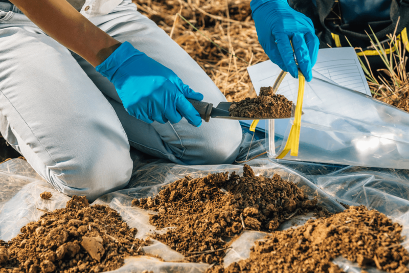 Soil Analysis for Farming: How to Collect a Soil Sample and Interpret ...