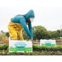 Lakeside Organic Gardens switched to packing its vegetables in plastic cartons made out of recycled material, which can be recycled yet again.