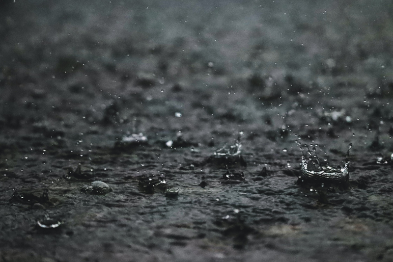 Rain