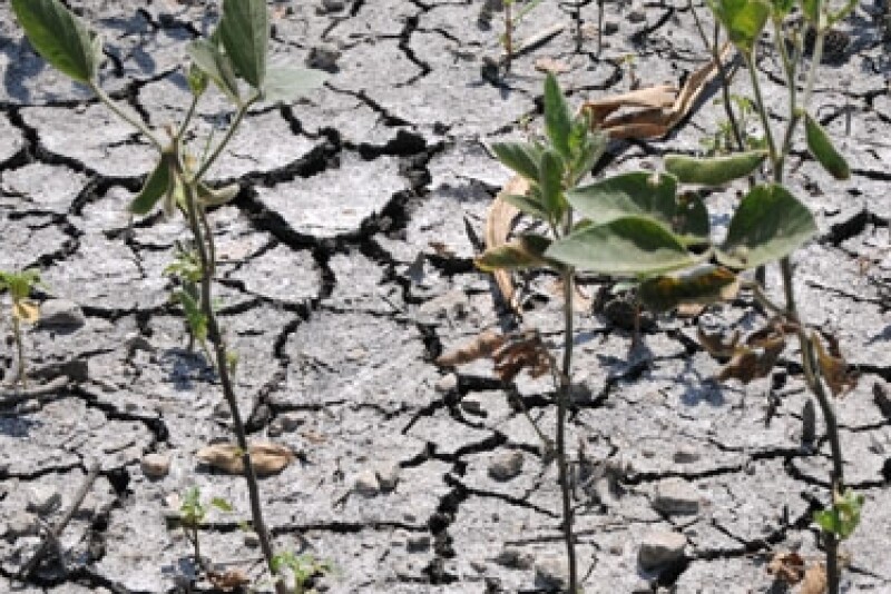 Drought