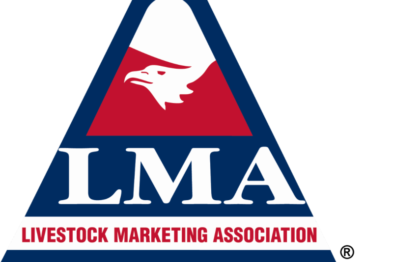 LMA