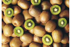 Chilean kiwifruit