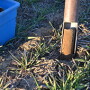 Soil testing helps determine nutrient needs