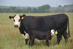 COVID-19 has put higher costs into the system.