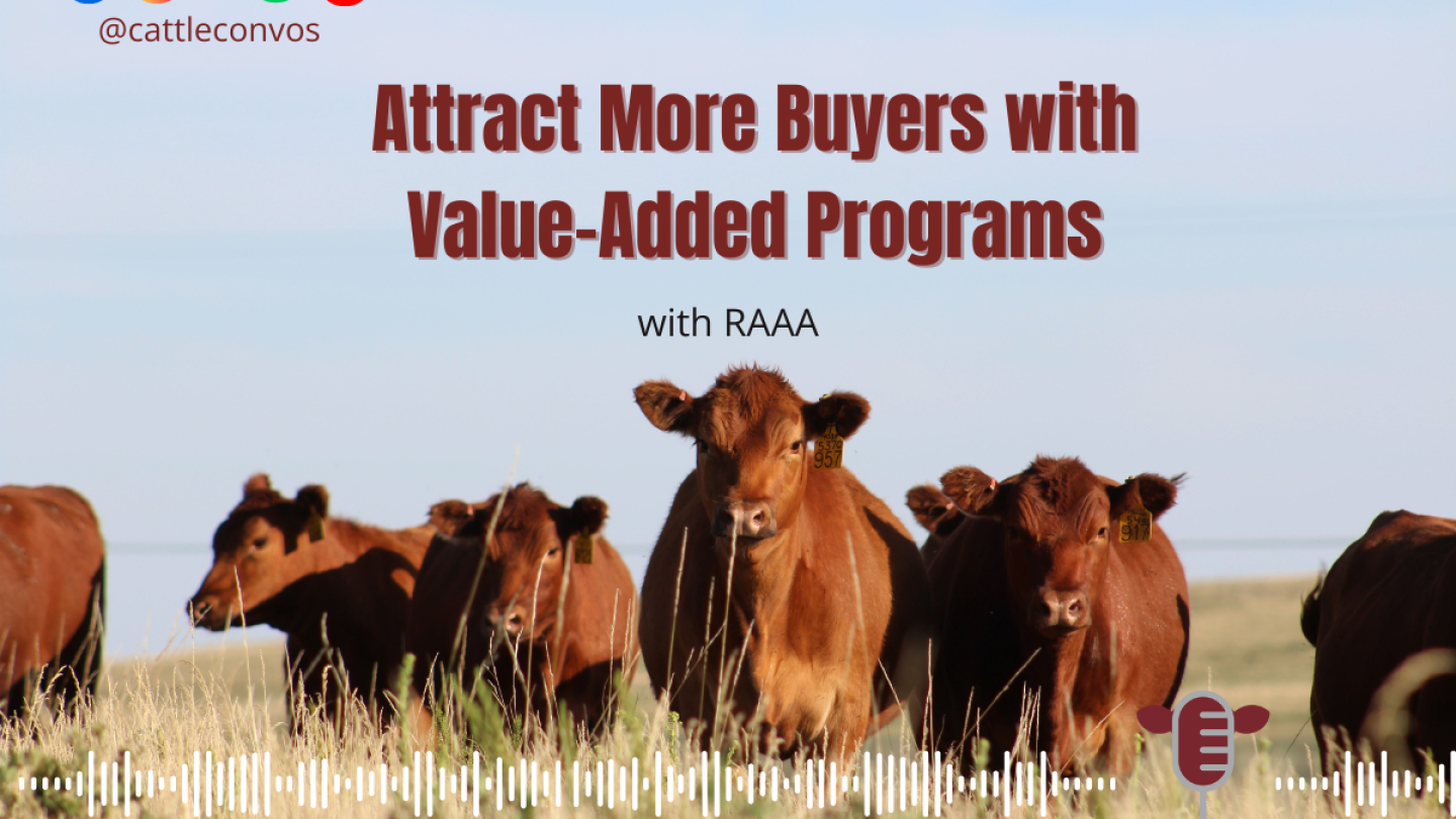 Attract More Buyers with Value-Added Programs - Drovers