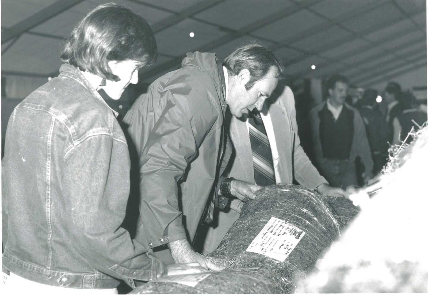 Dairy Ration The World Forage Analysis Superbowl is Fabulous at 40! - Dairy Herd