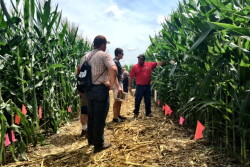 ken_ferrie_corn_college