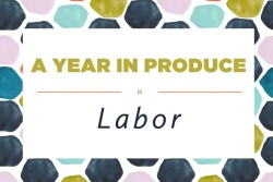 YIP - Labor-1.jpg