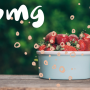 PMG_top20-125_header_web.png