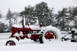 Winter weather is making spring plant seem nearly impossible.