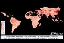 Researchers gathered nearly 1,000 publications and unpublished veterinary reports from around the world to create a map of antimicrobial resistance in low- to middle-income countries.



