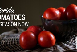 The Florida Department of Agriculture and Consumer Services promotes Florida produce with its Fresh From Florida marketing program, and spring is a busy time.