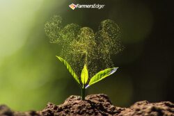 Vibhore Arora comes to Farmers Edge from Amazon Canada Fulfillment Services where he was president and involved in the past eight years in building that company’s fulfillment in Canada. 