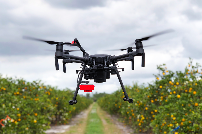 drone