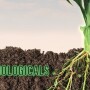 Biologicals
