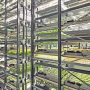 bowery vertical farm inside