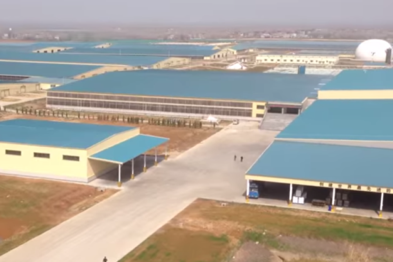 Modern_Dairy_Farm_China