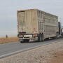 Transport Quality Assurance from the Pork Checkoff helps pig transporters, producers and handliers the tools to understand how to move pigs safely and protect animal well-being. Learn more at www.pork.org/certifications/transport-quality-assurance. 