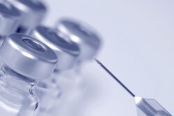 Needle