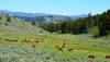 Lookout Mountain Ranch