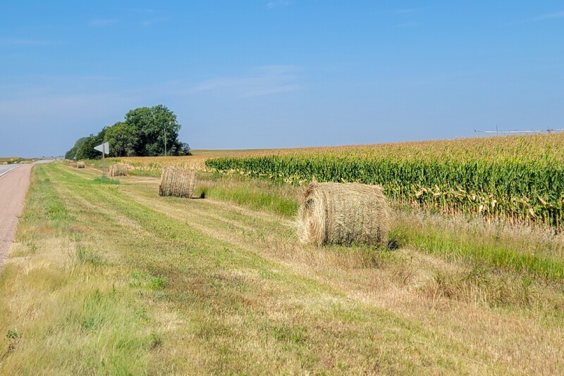 RoadDitchHay-Walz.jpg
