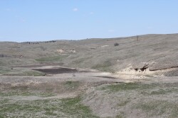 Drought pasture