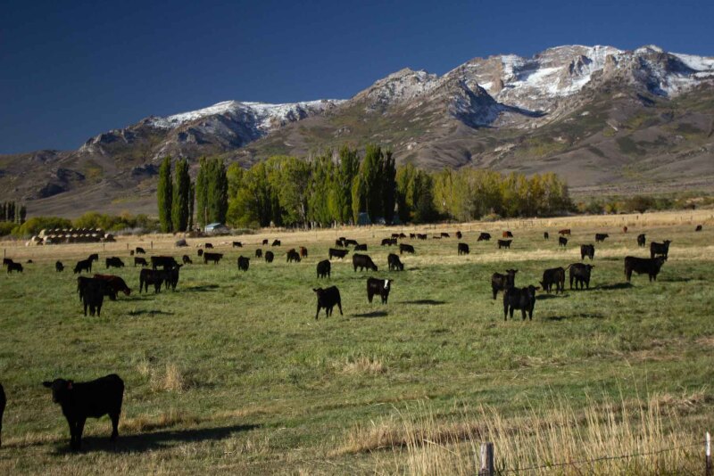 Nevada Clover Valley Ranch
