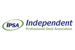 IPSA Logo-01.png