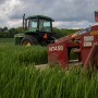 "We're eager to offer the retail system and its growers access to high-quality triticale seed and proud to be able to provide new products that can help support responsible agriculture practices," says Gary Nowaczyk.
