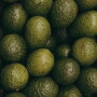 CF36FB8A-6D44-401E-80CB2BCFEA0A6D05.jpg